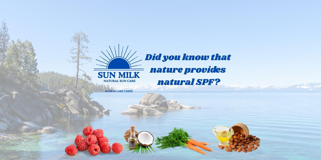 The Hidden SPF Powers of Natural Oils: Why Our All-Natural Sunscreen Stands Out - Sun Milk