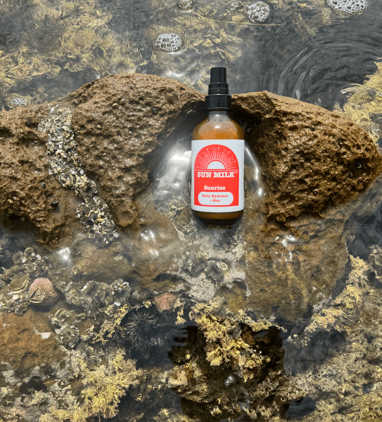Sun Milk™ - All Natural Daily Hydrator with Original or Lite Zinc - Sun Milk