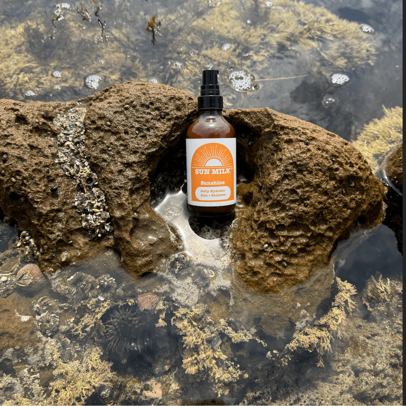 Sunshine by Sun Milk™ - All Natural Daily Shimmer Hydrator with Original or Lite Zinc - Sun Milk